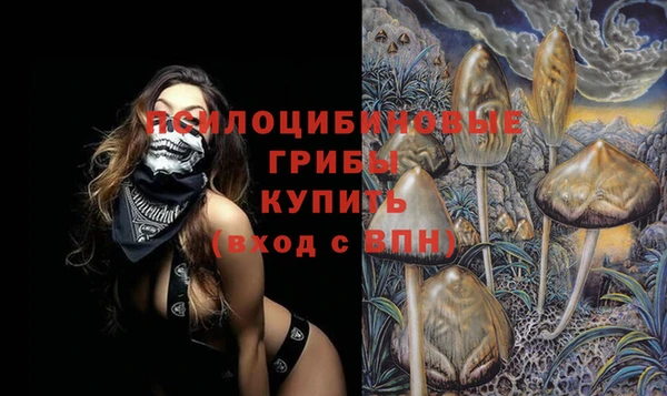 ALPHA PVP Снежногорск